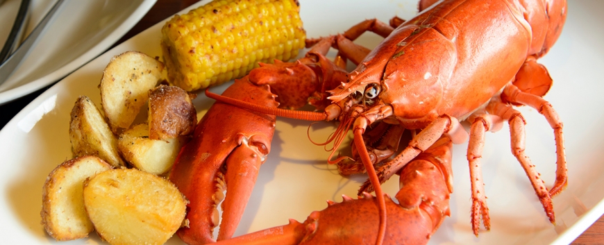 Lobster Stock - A Family Feast®